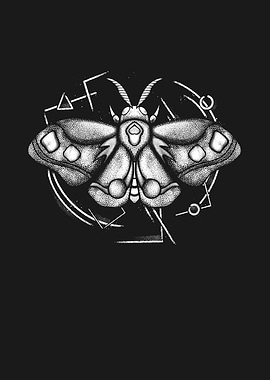 Cosmic Moth Fantasy Insect