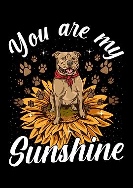 You Are My Sunshine
