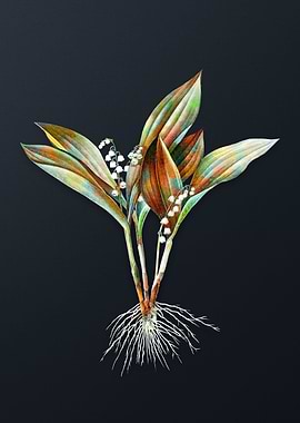 Vintage Lily of the Valley