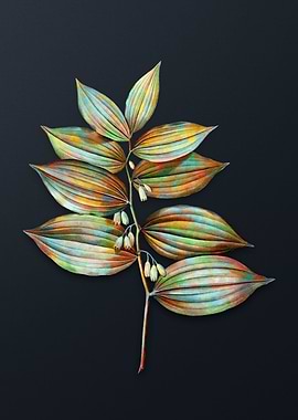 Vintage King Solomons Seal