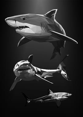 shark nursery animal