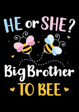 Gender reveal he or she br