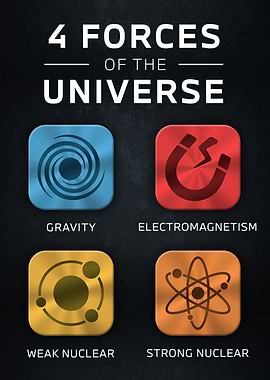 4 Forces of the Universe