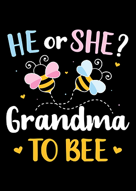 Gender reveal he or she gr