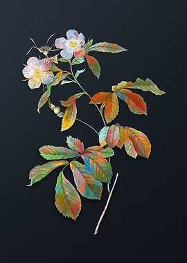 Vintage Pink Alpine Roses