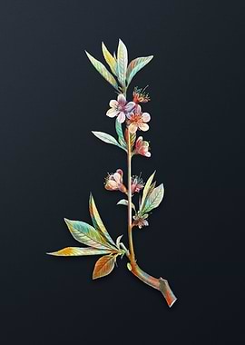 Vintage Pink Flower Branch