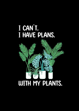 Houseplants Plant Gifts