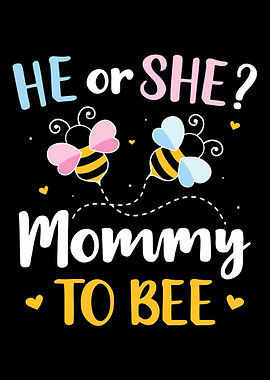 Gender reveal he or she mo