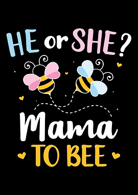 Gender reveal he or she ma