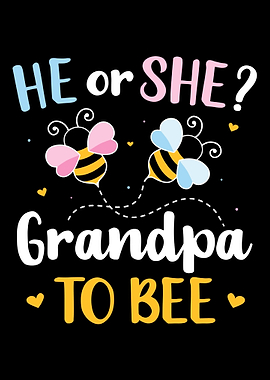 Gender reveal he or she gr