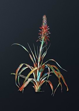 Vintage Pina Cortadora