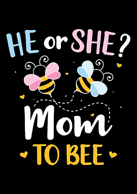 Gender reveal he or she mo