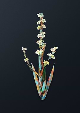 Pale Yellow Eyed Grass