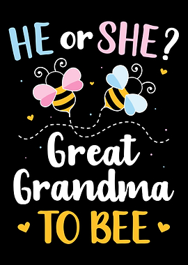 Gender reveal he or she gr