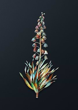 Vintage Persian Lily