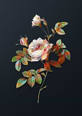 Vintage Pink Rose Turbine