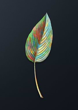 Powdery Alligator Flag