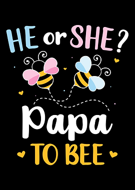 Gender reveal he or she pa