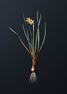 Vintage Rush Leaf Jonquil