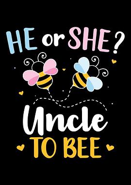 Gender reveal he or she un