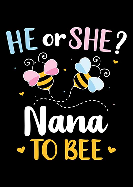 Gender reveal he or she na