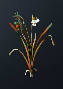 Vintage Summer Snowflake