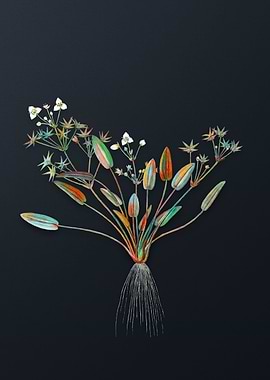 Vintage Starfruit Flower