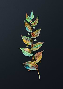 Vintage Twistedstalk