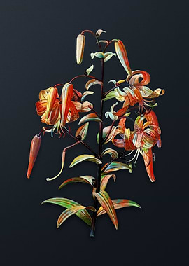 Vintage Tiger Lily Flower