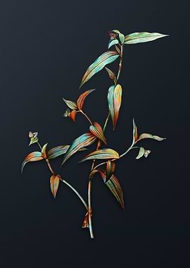 Vintage Tagblume Flower