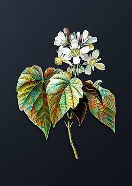 Vintage African Hemp