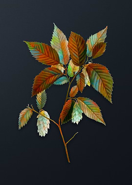 American Hophornbeam