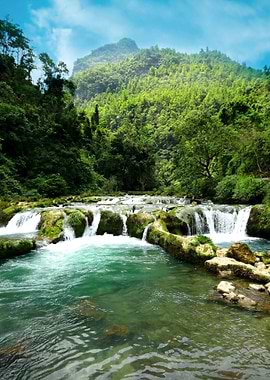 Waterfall in Forest Nature