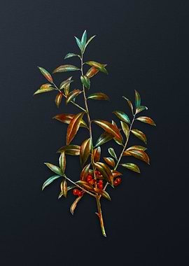 Alabama Dahoon Branch