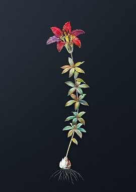 Vintage Wood Lily Flower