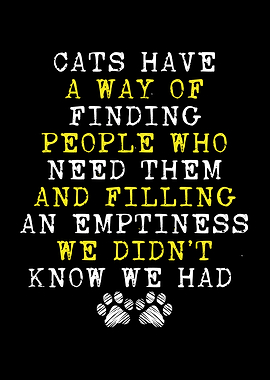 Cats have a way of finding