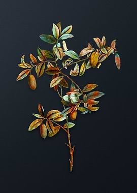 Vintage Apple Berry Flower