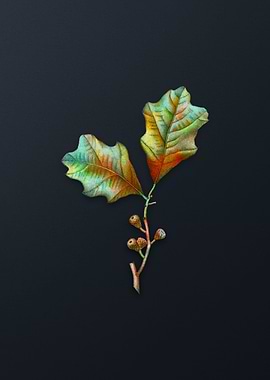 Vintage Bear Oak Leaves