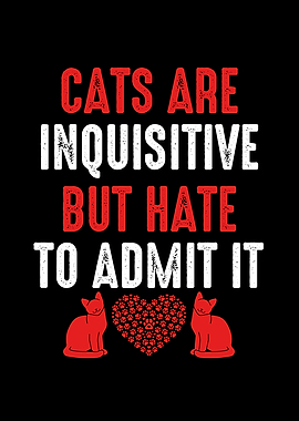 Cats are inquisitive