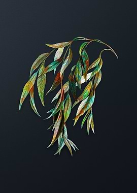 Vintage Babylon Willow