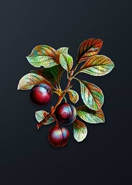 Vintage Cherry Plum Flower