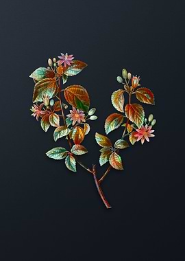 Vintage Crossberry Flower