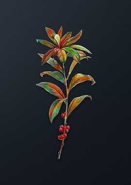 February Daphne Flowers