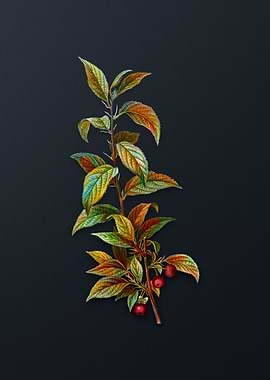 Vintage Cherry Flower