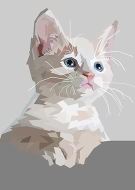 Cat Cats Feline Kitty