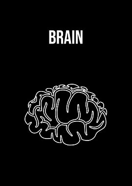 Brain