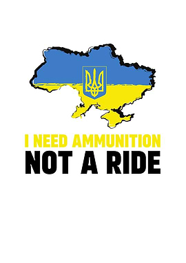 I Need Ammunition Not a