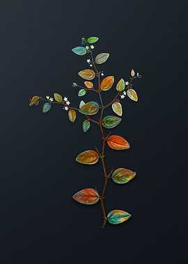 Vintage Christs Thorn