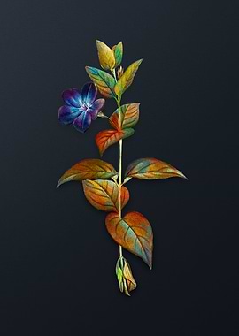 Greater Periwinkle Flower