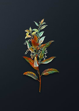 Vintage Evergreen Oak